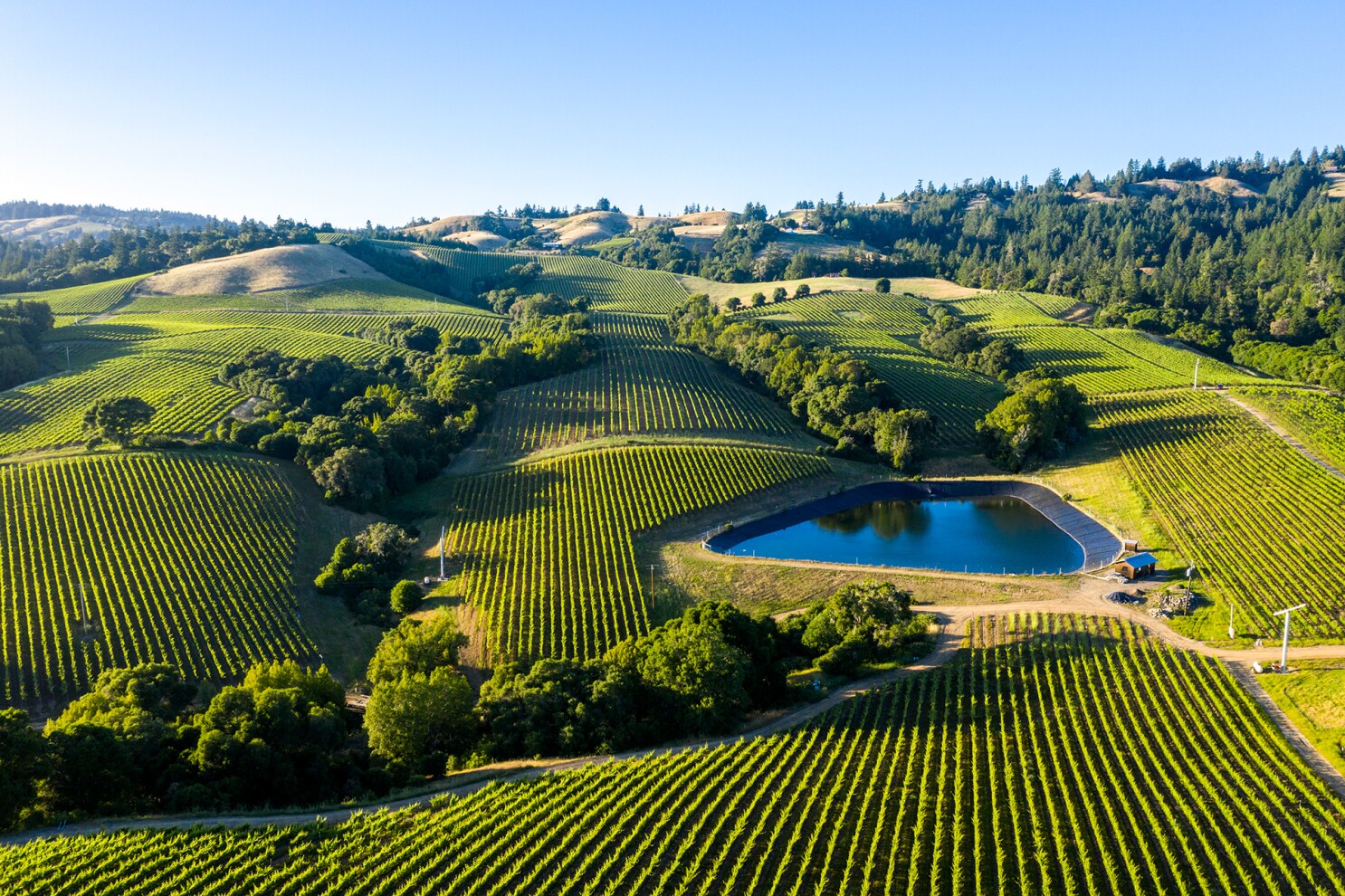 Everything You Need To Know Before Visiting Napa Valley napa city